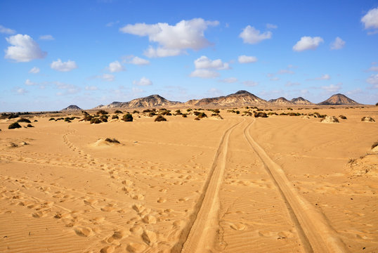 Sahara, the Black desert, Egypt