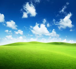 Keuken spatwand met foto field of grass and perfect sky © Iakov Kalinin