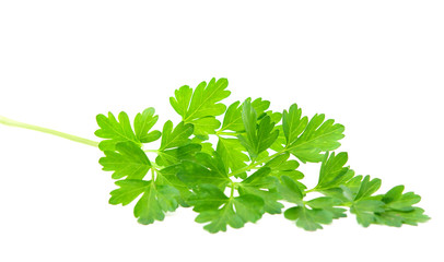 parsley