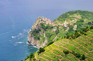 Cinque Terre Corniglia 04
