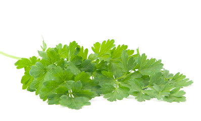 parsley