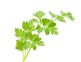 parsley