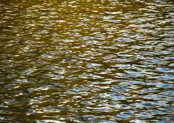 Wasserbewegung q.