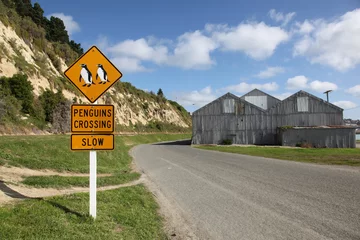 Foto auf Acrylglas Neuseeland Pinguin-Überfahrt-Schild bei Oamaru in Neuseeland