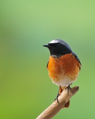 Oteando el horizonte.