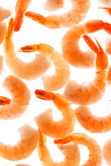 shrimps on the white
