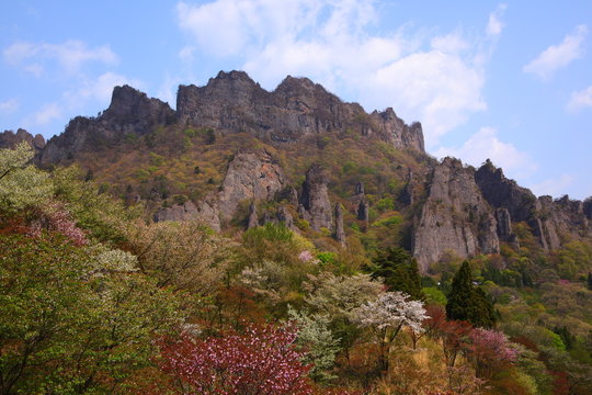 春の妙義山