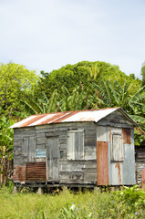 Fototapeta na wymiar walący się dom clapboard cynku Corn Island Nikaragua dżungla