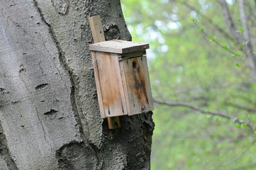 bird feeder