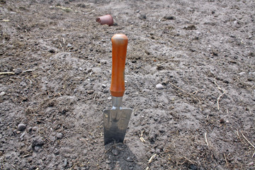 trowel