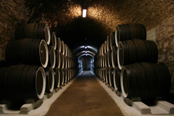 Big wine cellar