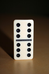 Black and white domino