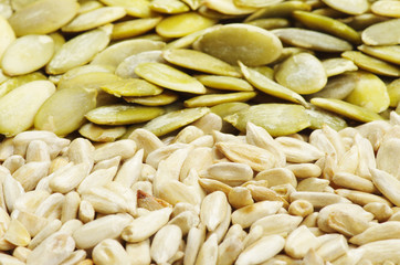 Obraz premium pumpkin seeds