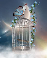 Photo sur Plexiglas Oiseaux en cages mon monde 876