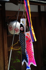 Koinobori-5