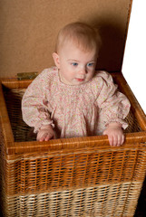 Baby in basket