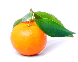 tangerine isolated on white