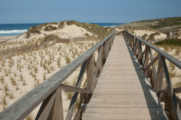 Wooden trail through dunes