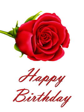 Birthday card with a single red rose