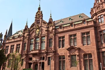 Heidelberg Universität © eyetronic