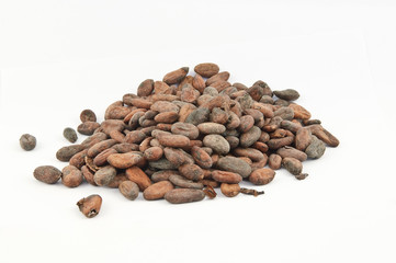 Fèves de cacao