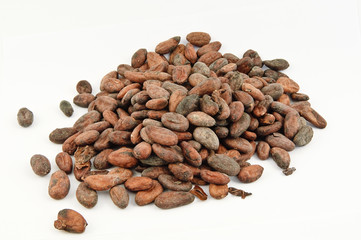 Fèves de cacao