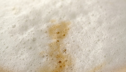 Foam