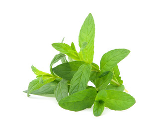 mint leaves