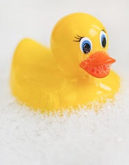 Bathtime rubber ducky and bubble fun!