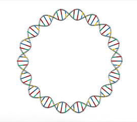 DNA circle