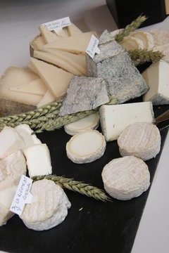 Fromage de ch&egrave;vre sur un plateau