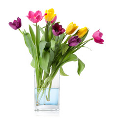 bouquet from tulips in glass vase isolated on white