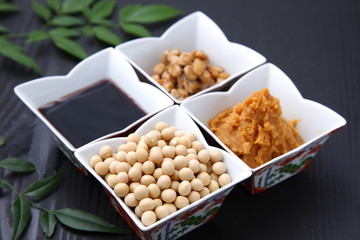 japanese typical soybean processed food