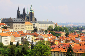Obraz premium View on the spring Prague gothic Castle with the green Nature