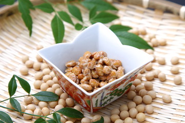 traditional japanese food,fermented soybeans"NATTO"