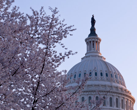 Sunrise behind the dome of the Capitol in DC