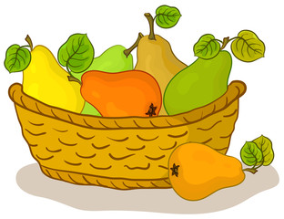 Basket with fruits, pears
