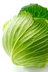 Obraz premium cabbage