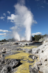 Pohutu geysers Rotorua New Zealand