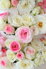 Set of a beautiful roses