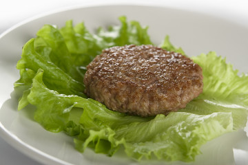 Meat rissole