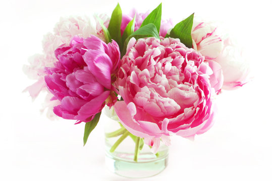Fototapeta Pink Peonies