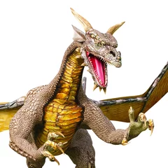 Garden poster Dragons dragon near attack