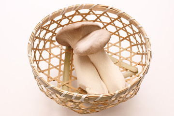 エリンギ（100ｇ）