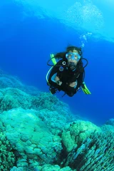 Fototapeten Young Woman Scuba Diving over coral reef © Richard Carey