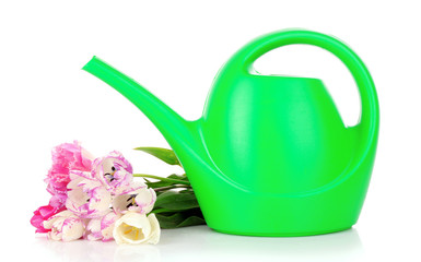 Watering can with tulips isolated on white