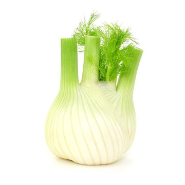 Fenchel, roh