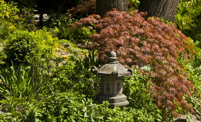 Japanese garden