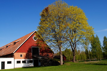 Frühling in Schweden