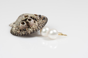 Pearl earring an a shell